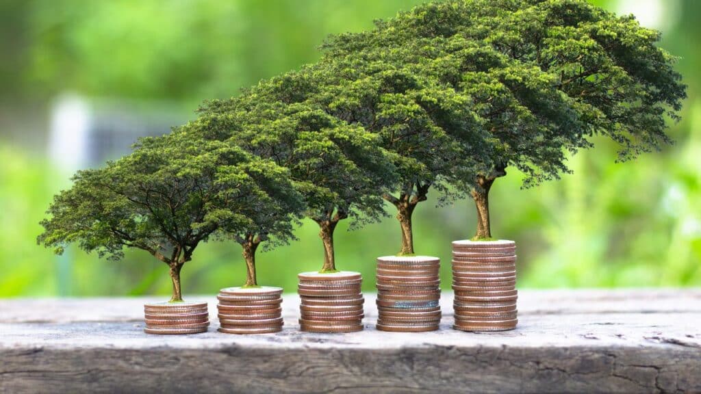 Stacks of coins topped with trees symbolizing growth and sustainability, relating to the long-term nutritional benefits of seasonal foods and eco-friendly eating habits.