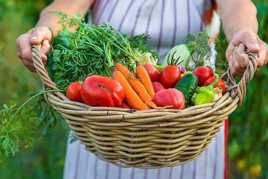 A woman in an apron carrying a wicker basket with seasonal vegetables