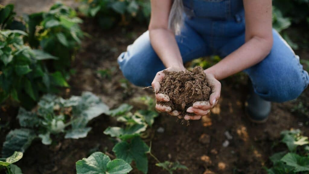Farmer holding rich, earthy soil in a garden, representing the foundation of the nutritional benefits of seasonal foods from healthy soil.