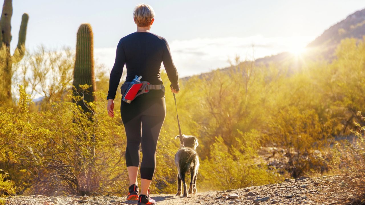 Person walking a dog on a sunny desert trail with mountains in the background, adding steps to hit 10000 steps a day.