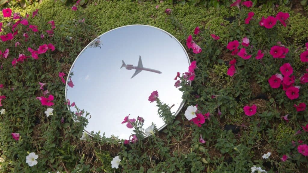 A round mirror placed among vibrant pink and white flowers reflecting an airplane in the sky, offering a whimsical and artistic backyard touch.