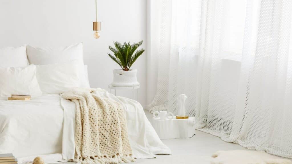A serene white bedroom with cozy textures, natural light, and a small palm plant to elevate your home decor.