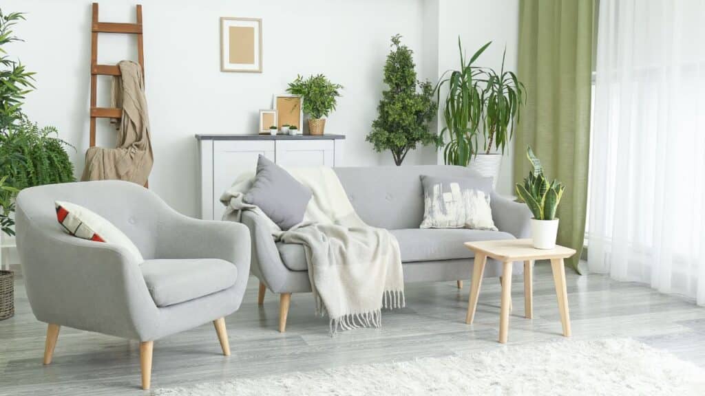 Living room decorated with green plants, soft gray furniture, and natural light for improved energy according to Feng Shui tips.