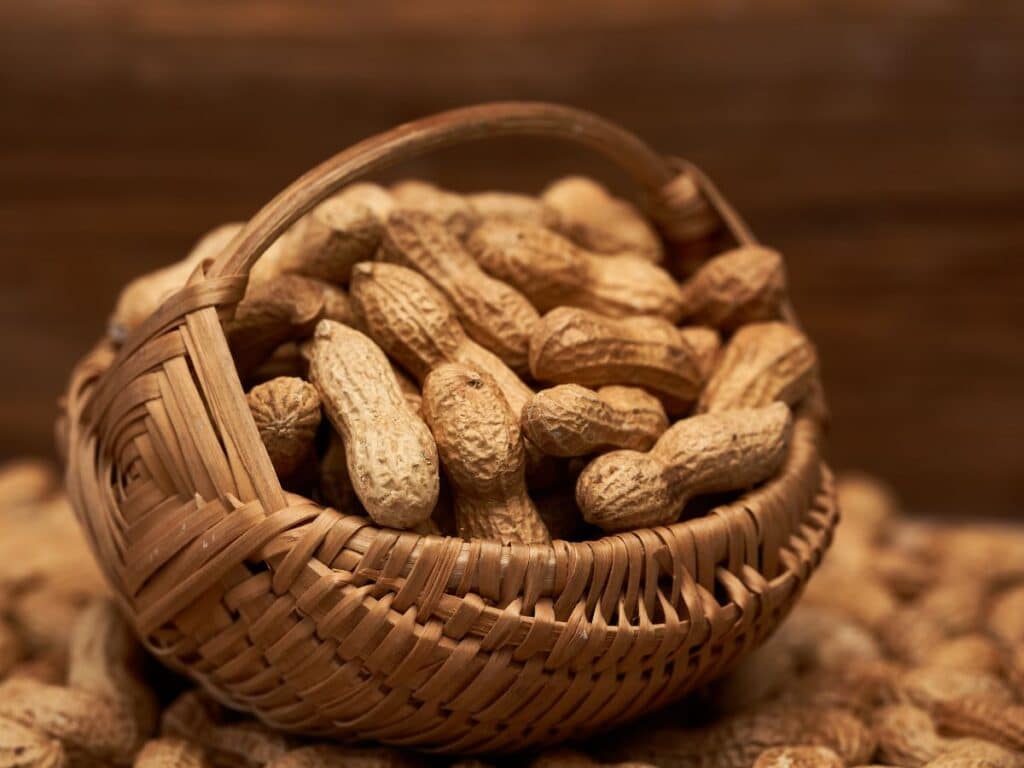 Woven basket filled with unshelled peanuts, surrounded by more peanuts on a wooden surface. Peanuts are a source of resveratrol and healthy fats, often included in diet-based anti-aging secrets.