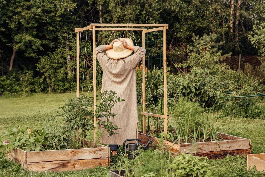 A woman in a long dress and straw hat stands inside a wooden garden frame surrounded by raised garden beds. Overplanting or poor garden design like this can lead to expensive gardening mistakes due to overcrowding and inefficient use of space.