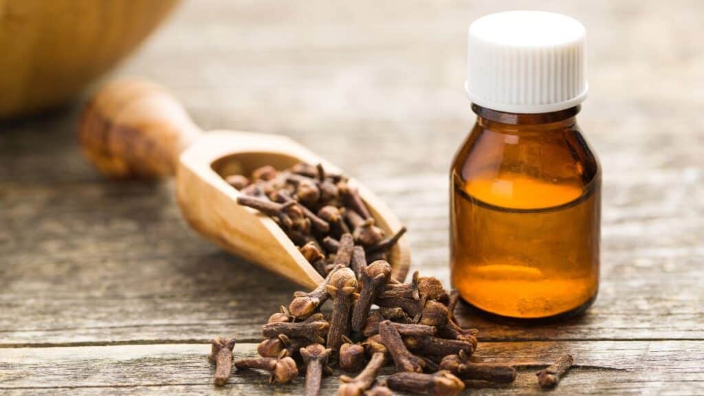 Dried cloves spilling from a wooden scoop beside a small amber bottle of clove oil on a wooden surface. Frequently highlighted in vintage remedies for dental pain and antibacterial properties.