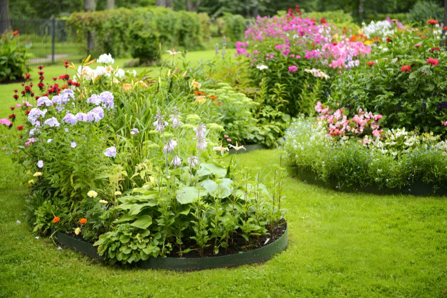 A well-maintained flower garden with colorful blooms arranged in curving beds. Over-investing in ornamental plants without considering maintenance needs can be an expensive gardening mistake for beginners.
