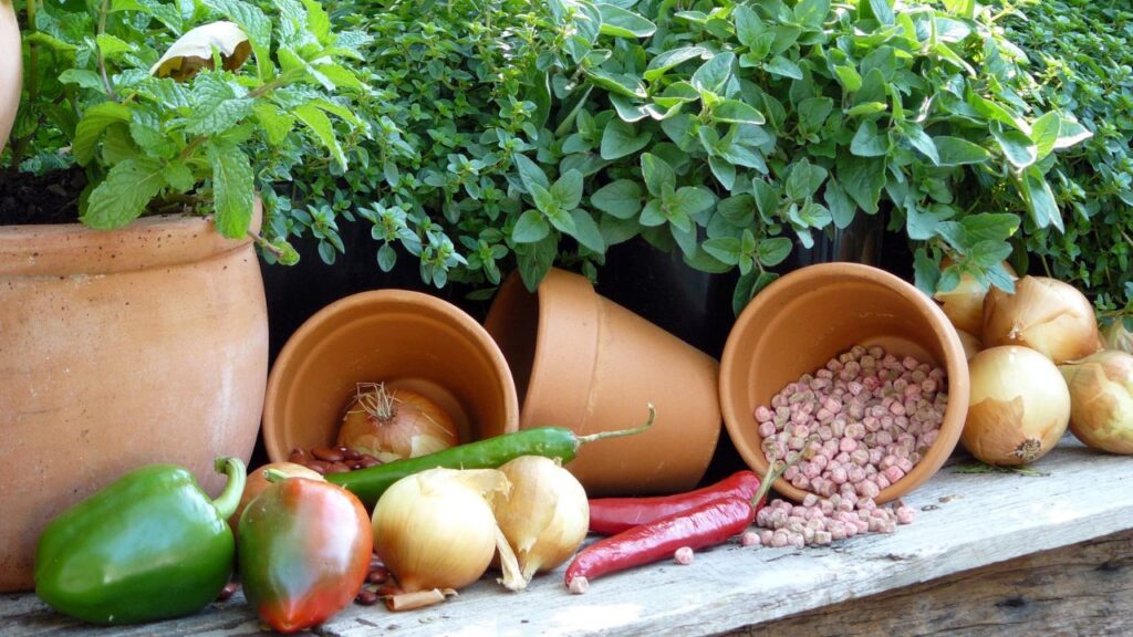 A garden table with spilled terracotta pots, onions, peppers, beans, and fresh herbs including mint and oregano. Though more kitchen garden-oriented, it can inspire natural touches in fall porch decor.