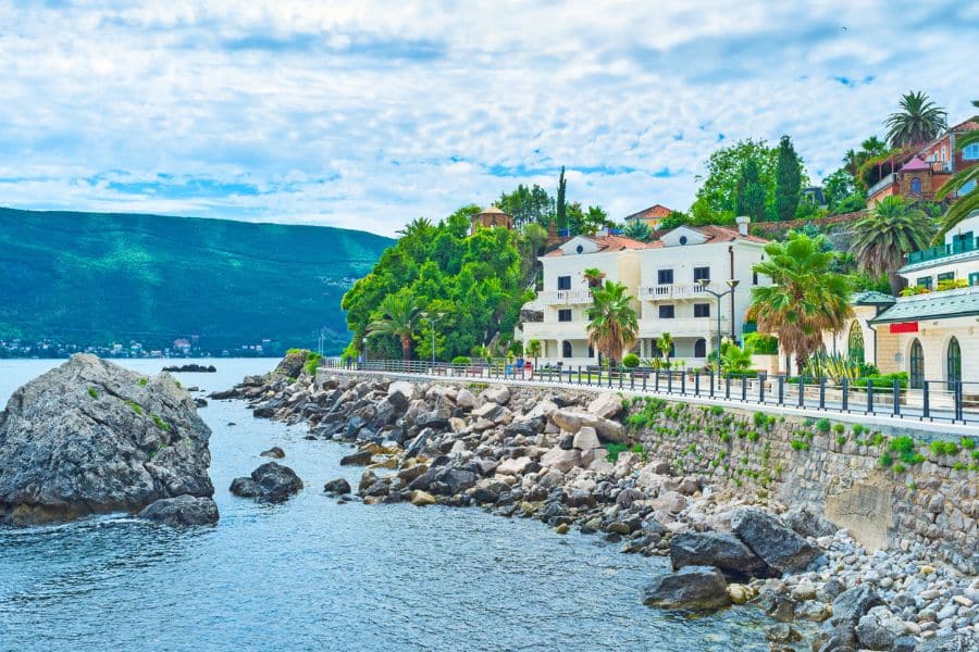 A quiet promenade in Herceg Novi, Montenegro, lined with palm trees, white villas, and rocky shores beside the Adriatic Sea. A serene coastal village scene typical of southern European charm.