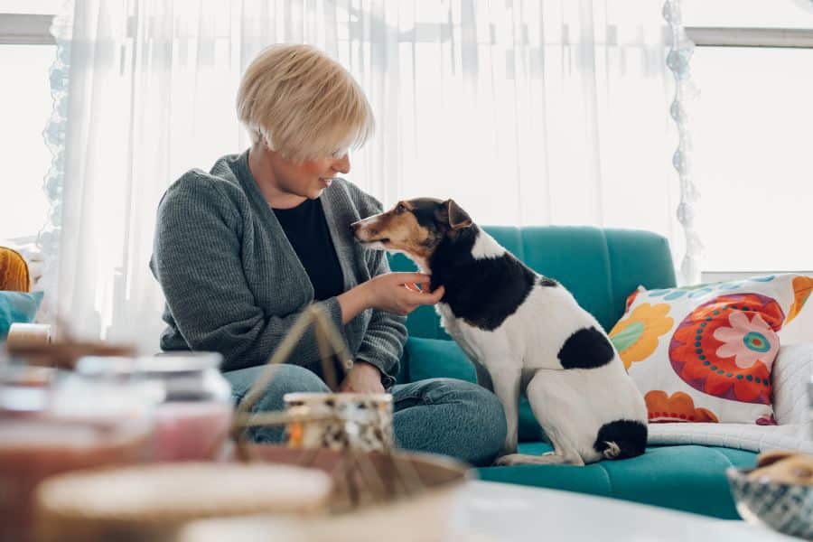 A woman sitting on a teal couch gently interacts with a small dog, capturing pet sitting or in-home animal care as peaceful retiree-friendly job options.