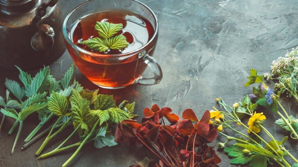 A cup of herbal tea with fresh green leaves floating inside, surrounded by wild herbs including nettle, clover, and wildflowers. A vivid representation of vintage remedies made from wild-foraged plants.
