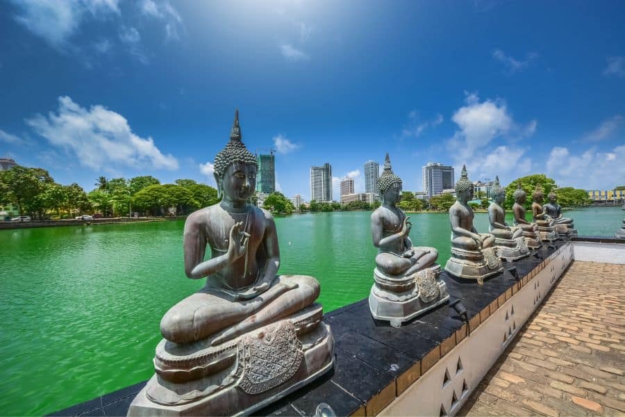 Row of seated Buddha statues facing a green lake, with modern city buildings rising in the background under a sunny sky.