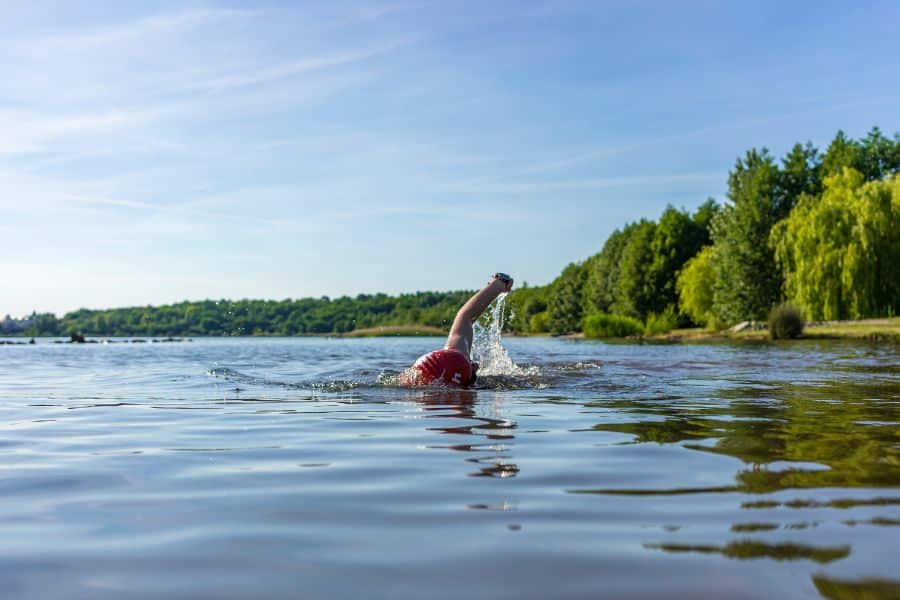 Person swimming freestyle in an open lake surrounded by trees under a clear sky. Swimming outdoors as a full-body everyday exercise that’s easy on the joints.