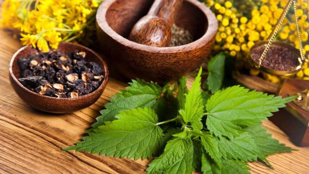Fresh stinging nettle leaves on a wooden table with a mortar and pestle, dried herbs, and yellow flowers in the background. Nettle is a classic ingredient in vintage remedies for allergies, joint pain, and detox.