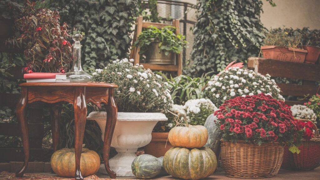 A cozy garden corner with chrysanthemums in red and white, green pumpkins, a vintage wood table, and scattered fall elements like books and a decanter. The layered textures and colors create an inviting fall porch decor arrangement with a romantic touch.