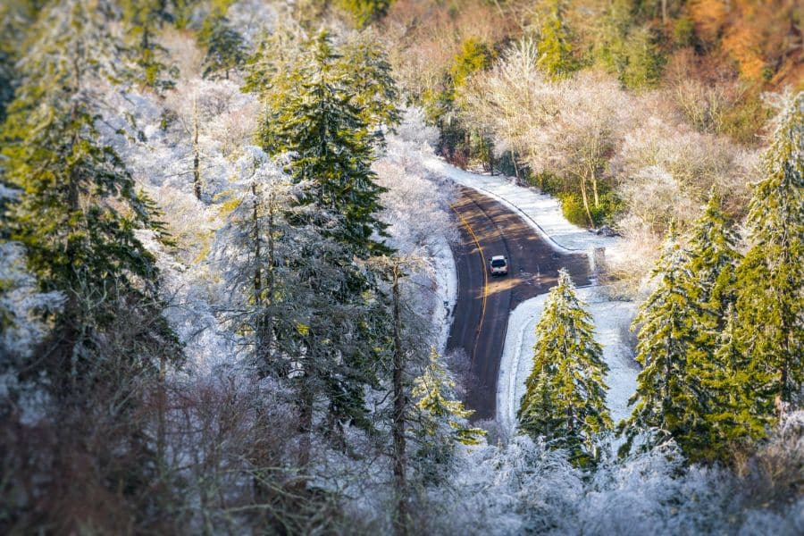 A winding forest road with light snow leads through frost-covered evergreens, with a single car traveling along the curve. This quiet drive captures the solitude and scenic appeal of forest routes on winter RV trips.