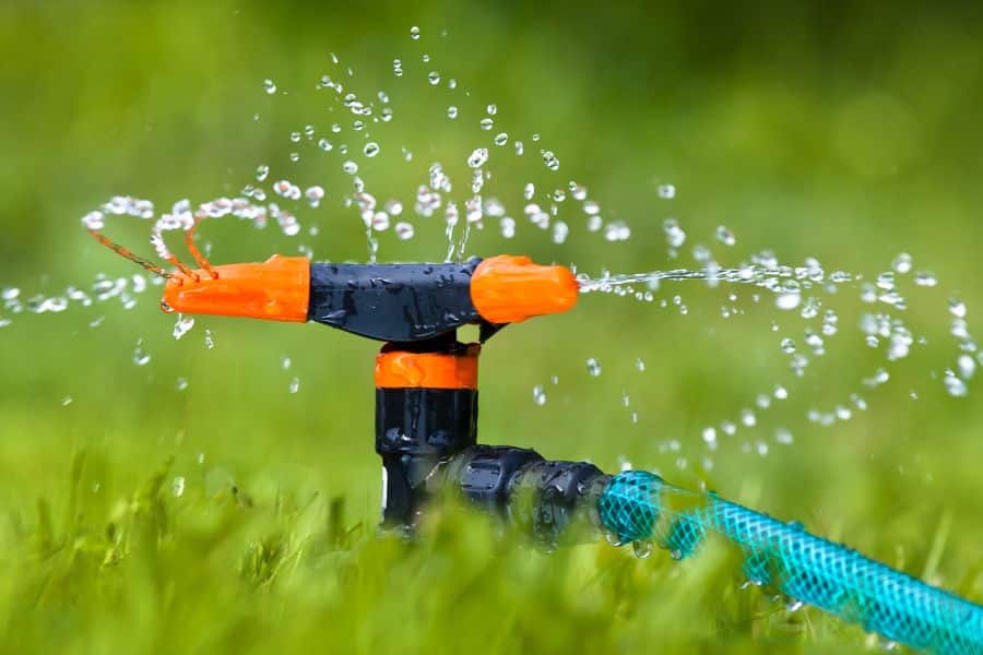 A rotating garden sprinkler spraying water over green grass, connected to a blue hose. Automatic watering tools like this make it easier to care for plants for lazy gardeners by handling routine irrigation with minimal effort.