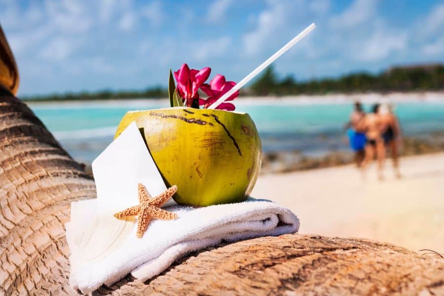 A fresh coconut drink with a straw and tropical flowers rests on a rolled white towel with a starfish and sun hat, all placed on a palm tree trunk overlooking a turquoise beach. The scene captures the essence of American luxury travel with its laid-back elegance and exotic coastal setting.