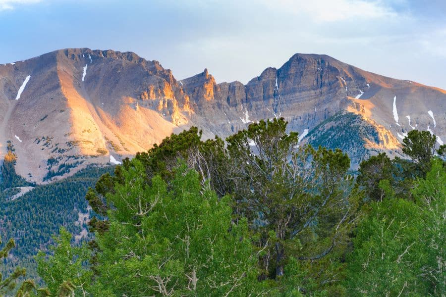 Great Basin National Park’s mountain ridges and alpine forests seen behind vibrant green trees at golden hour. Low visitation and fewer trail options can leave some underwhelmed, making it one of the national parks to avoid for those craving dynamic landscapes.