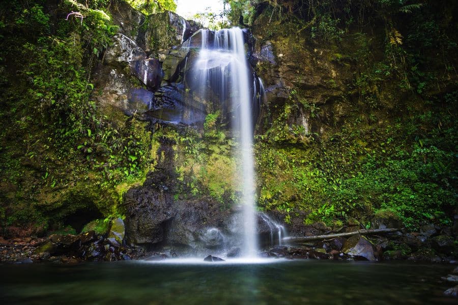 A secluded waterfall cascading down a lush, green cliff in the rainforest of Costa Rica. Known for its natural beauty and eco-lifestyle, Costa Rica is a top choice among countries that welcome Americans.