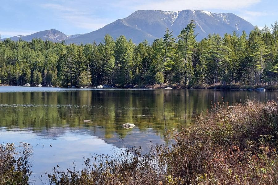 A tranquil lake with pine trees and snow-capped mountains in the background highlights the quiet moments still possible in Overcrowded US National Parks.