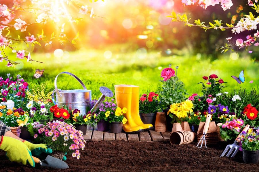 9 Reasons Scientists Believe Gardening Is the #1 Hobby for Retirees As It’s Good For Mind, Body & Soul