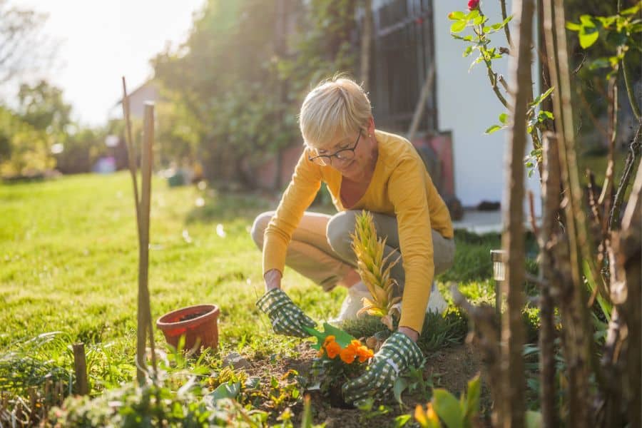 An older woman kneeling in her backyard garden, planting orange flowers in the soil, representing how gardening is the #1 hobby for retirees seeking joy and movement outdoors.An older woman kneeling in her backyard garden, planting orange flowers in the soil, representing how gardening is the #1 hobby for retirees seeking joy and movement outdoors.