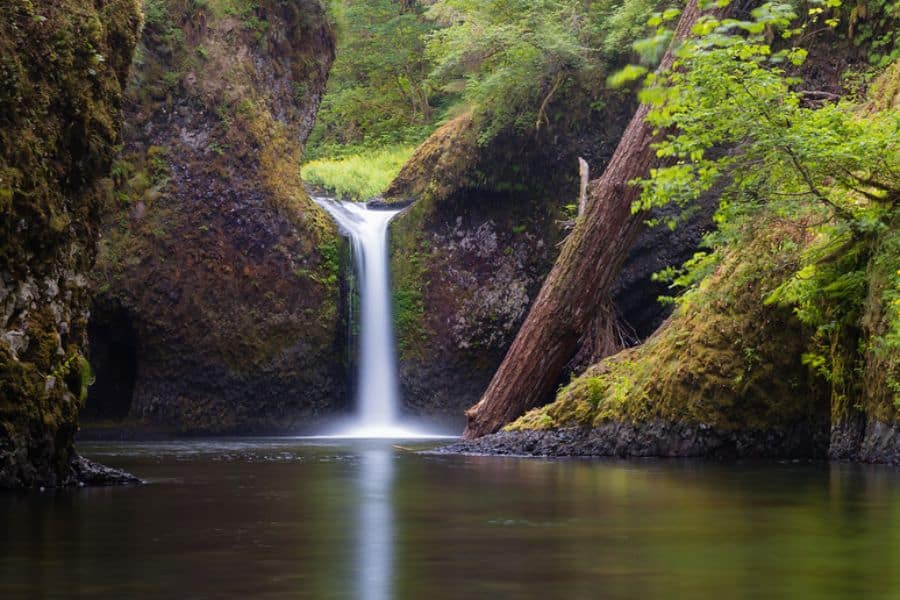 A delicate waterfall drops into a secluded pool surrounded by mossy cliffs and forest in Oregon, showcasing the tranquil magic of America’s Best-Kept Hiking Secrets.