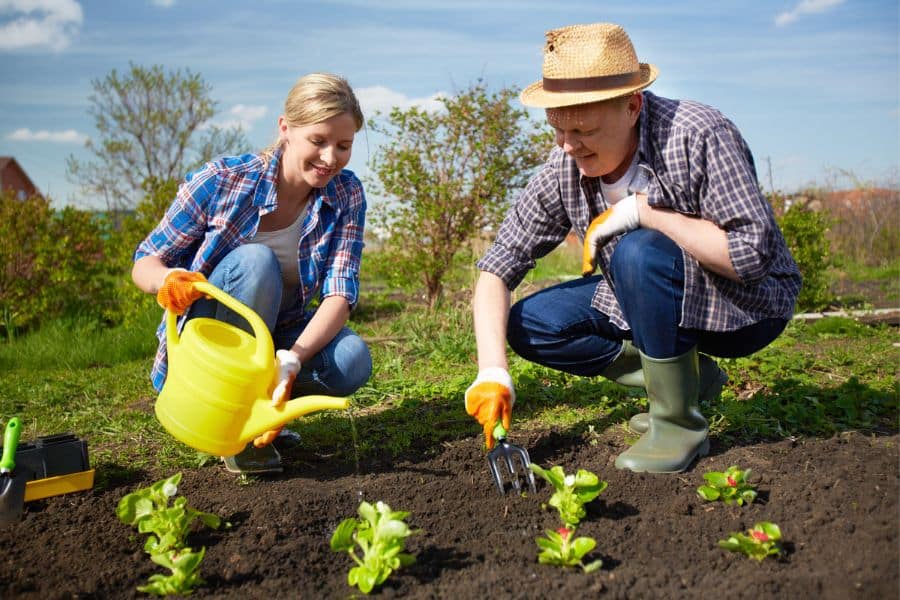 Retired couple gardening together, with the woman watering plants and the man loosening soil, a shared activity highlighting why gardening is the #1 hobby for retirees.