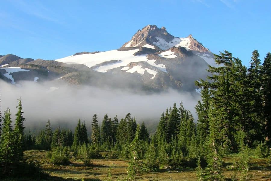 A snow-covered mountain rises above misty evergreens in the early morning, symbolizing the raw wilderness that draws crowds to Overcrowded US National Parks.