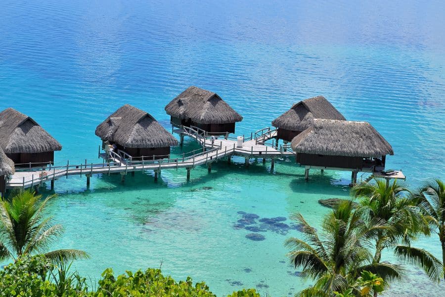 Thatched overwater bungalows sit above clear turquoise water surrounded by palm trees in French Polynesia. Luxurious escapes like this define dream-worthy Bucket List Destinations to Visit.