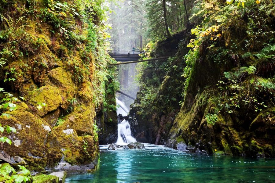 A wooden bridge spans a narrow moss-covered canyon with a waterfall and crystal-clear pool in Olympic National Park, Washington. Lush, temperate rainforests define some of the most peaceful hiking trails in the US.