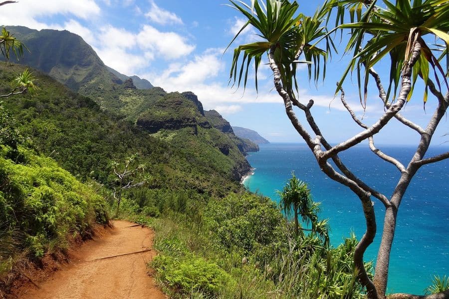 A rugged coastal path winds along dramatic sea cliffs overlooking the deep blue Pacific on the Kalalau Trail in Kauai, Hawaii. Tropical terrain adds variety to hiking trails in the US.