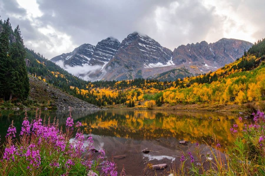 A vibrant autumn scene at Maroon Bells in Colorado shows golden aspens and patches of evergreen trees surrounding a calm lake, with snow-dusted peaks rising in the background. Wild purple flowers frame the foreground of this iconic view along one of the most scenic hiking trails in the US.