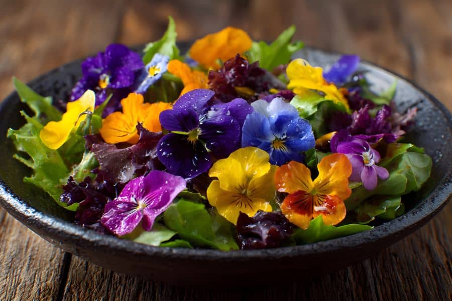 Bowl of fresh salad topped with colorful edible flowers including pansies and violets showcasing common edible garden weeds used in meals.