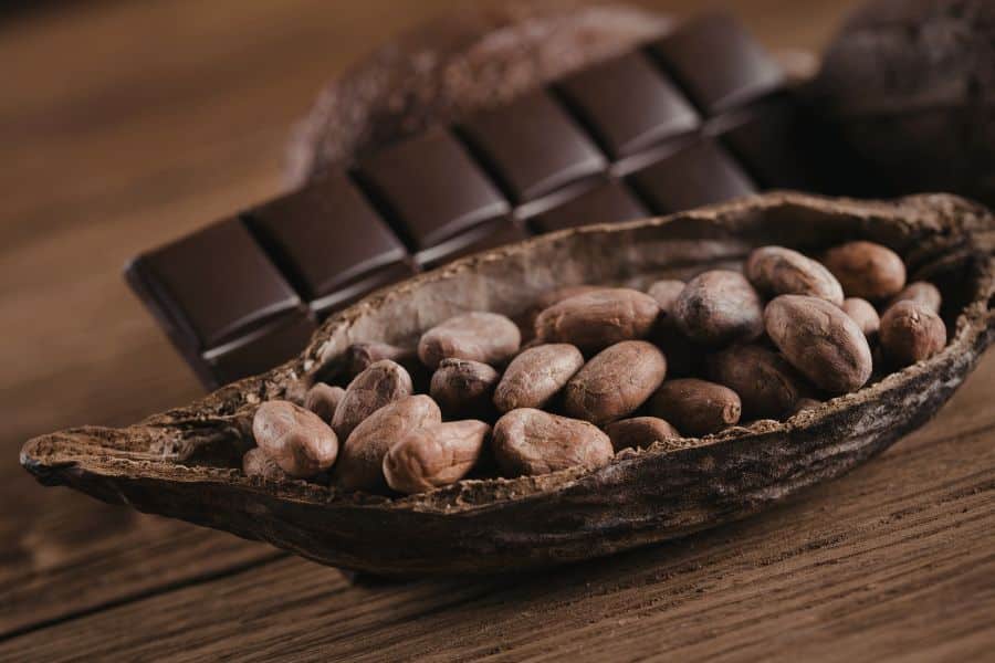 A rustic open cacao pod filled with cocoa beans in front of a bar of dark chocolate. Dark chocolate, made from cacao, is rich in flavonoids—an essential compound in foods that can reverse aging by supporting heart and brain health.