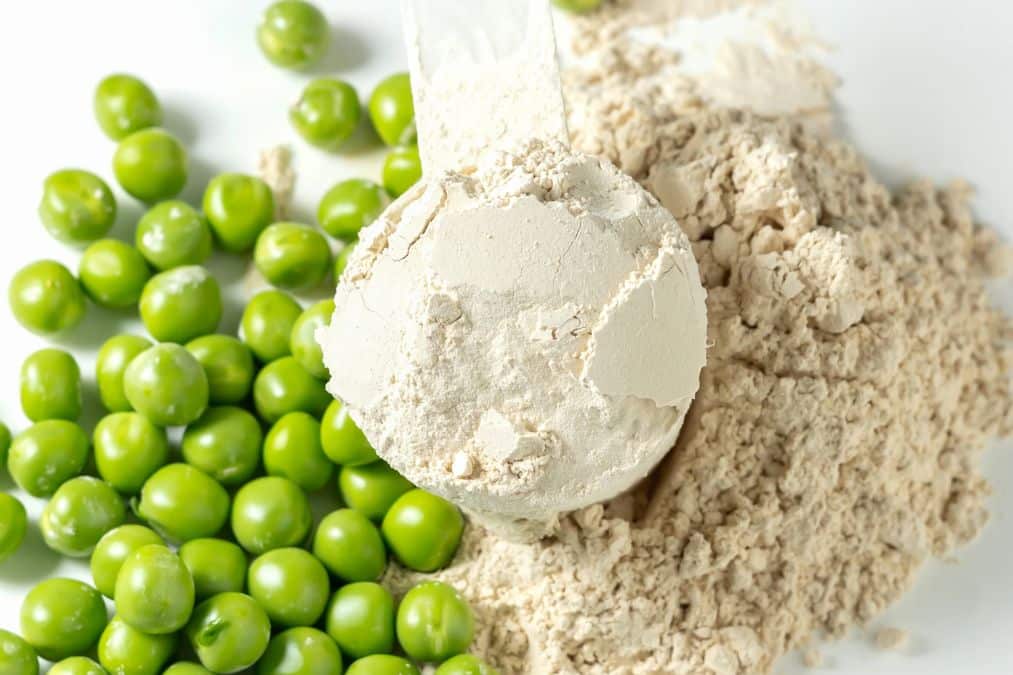 Scoop of pea protein powder beside fresh green peas demonstrating convenient plant foods that build muscle.