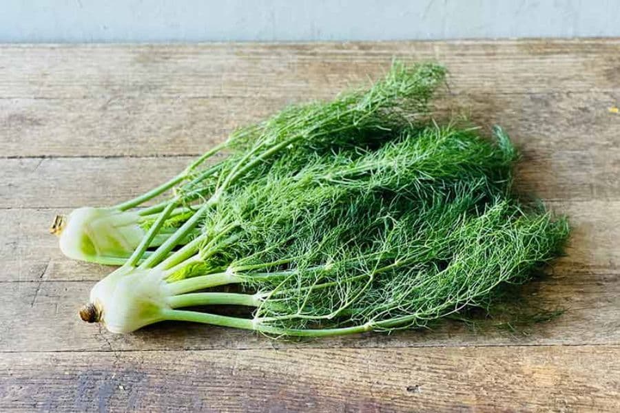 Fresh fennel bulbs with feathery green fronds are arranged on a rustic wooden table. This is a strong visual for edible leaves content because both the bulb and the delicate leafy tops can be used in cooking.