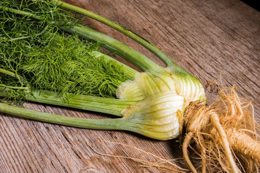 Whole fennel bulb with feathery fronds and roots on a wooden surface featuring aromatic herbs and spices with nutritional benefits.
