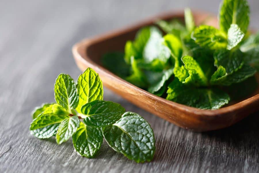 Fresh mint leaves in a wooden bowl emphasizing cooling herbs and spices with nutritional benefits.