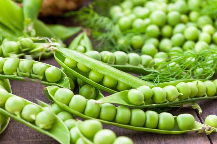 Open pea pods and loose green peas are scattered across a dark wooden surface with soft tendrils visible in the background. The emphasis is on peas, though the plant’s tender shoots and edible leaves are part of the same garden crop.