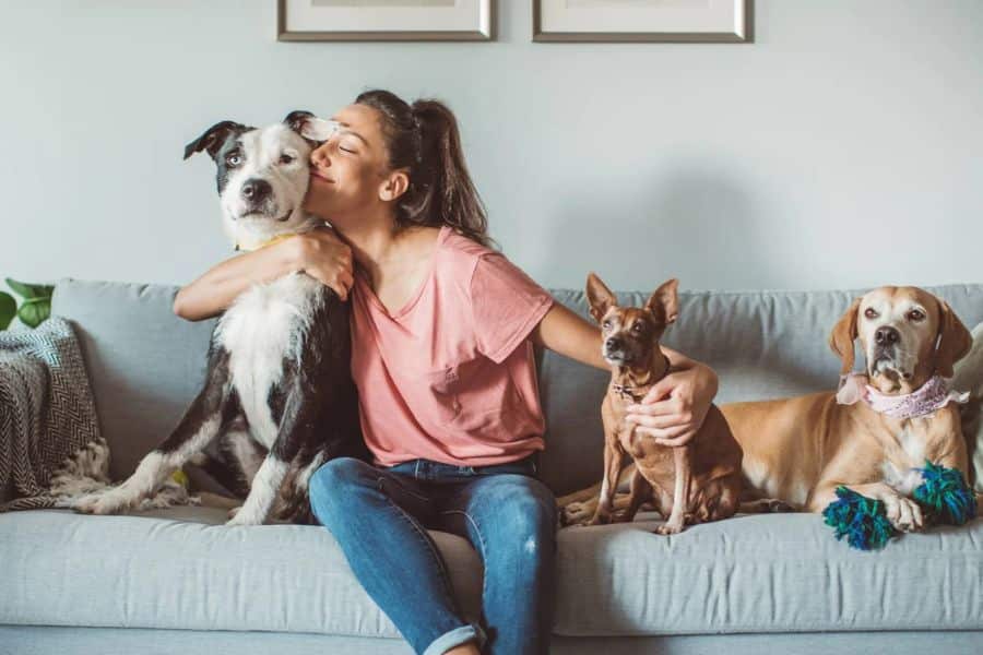 Woman sits on a couch hugging three dogs in a cozy living room. This supports work from home jobs content by showing one of the everyday perks of remote work which is spending more time with pets.