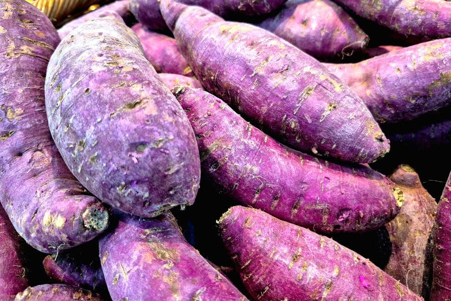A pile of purple sweet potatoes fills the frame with rough textured skins and deep violet color. The close crop emphasizes a colorful whole food that fits content about memory decline and nutrition.