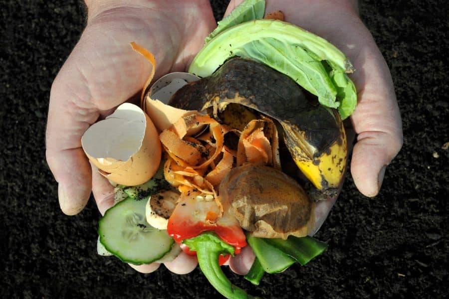 Two hands hold compostable food scraps including eggshells, cabbage, a banana peel, carrot peels, cucumber, mushrooms, and pepper pieces over dark soil. This guide to composting highlights the kinds of kitchen scraps that can be added to a compost pile.