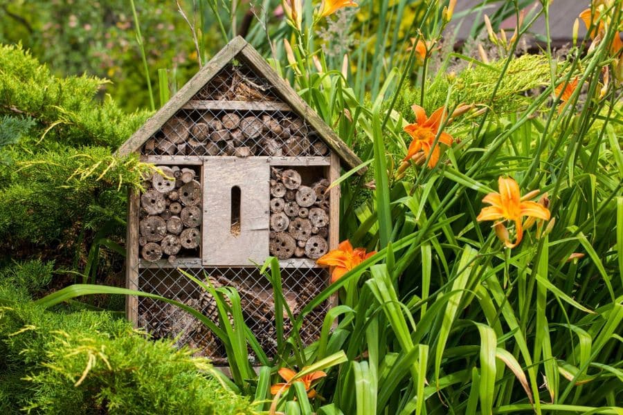 A wooden bee hotel filled with drilled logs stands among tall green leaves and orange daylilies in a lush garden bed. This backyard habitat supports solitary pollinators and pairs well with plants chosen to attract bees.