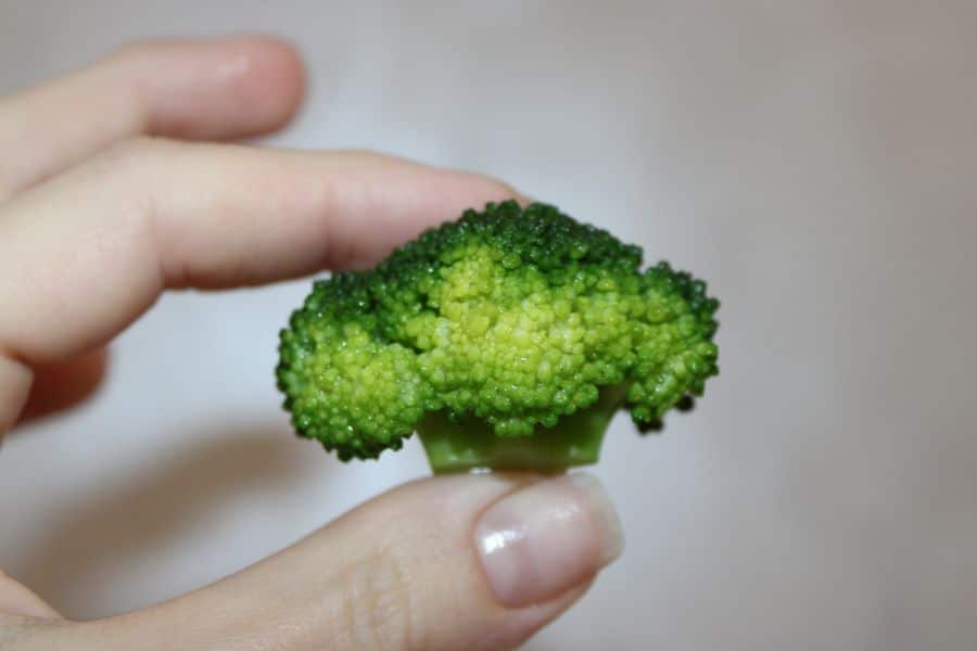 Small broccoli floret held between two fingers against a soft blurred background. The close up makes the piece of broccoli look tiny and detailed.