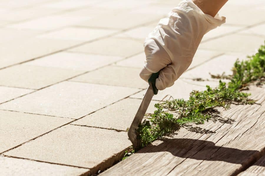 Gloved hand uses a weeding knife to pull weeds between your patio stones along the edge of a paved surface. The close up shows green growth pushing through the narrow joints beside a wooden border.