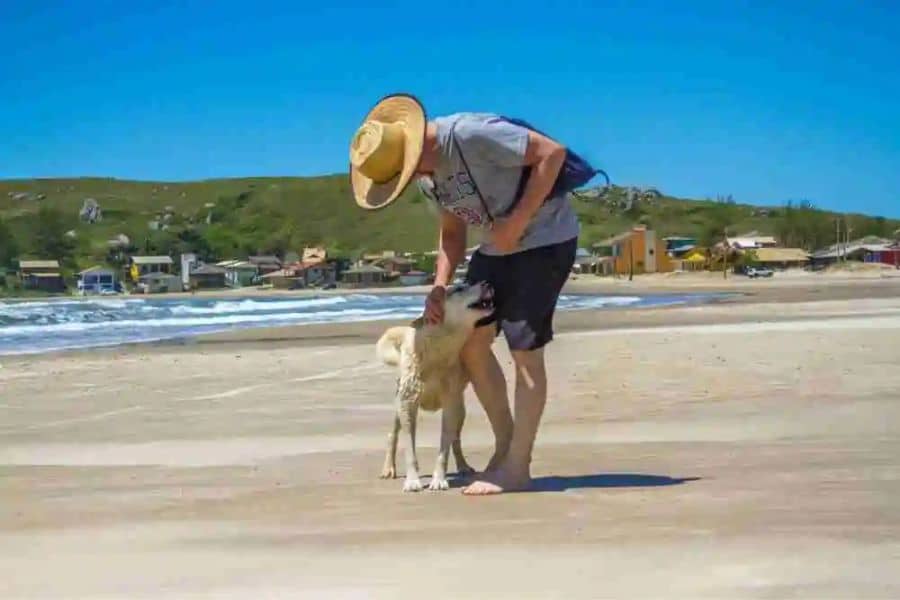 Person in a wide straw hat stands barefoot on a sandy beach, bending down to pet a light colored dog as waves roll in behind them and small seaside houses sit along the shore. This candid beach moment suggests a relaxed way to see the world on a budget through simple local experiences.