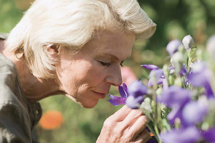 Older woman leans close to smell purple flowers in a sunlit garden, with the blossoms soft in the foreground and background. The moment conveys calm enjoyment of nature and everyday wellbeing.