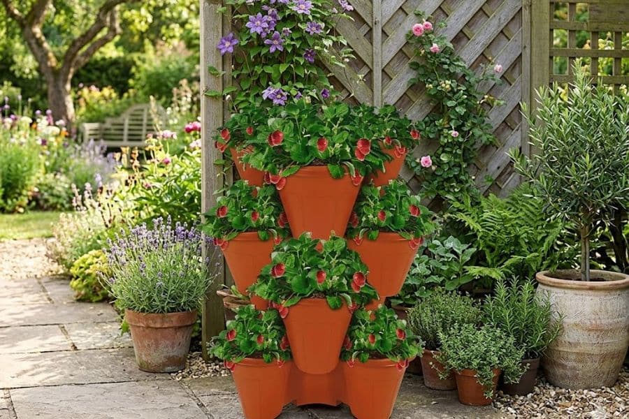 Strawberry plants fill stacked terracotta planters beside potted herbs and flowers in a garden patio.